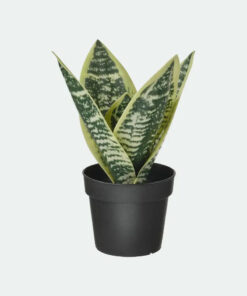 Artificial-Potted-Plant.jpg